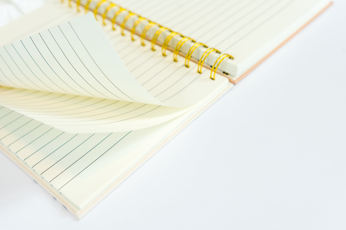 Signature Notebook - Cream