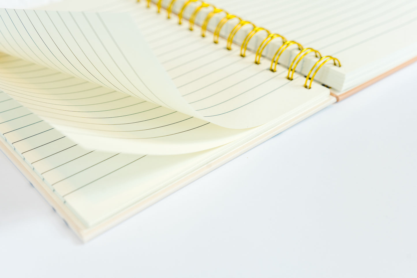 Signature Notebook - Green
